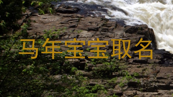 马年宝宝取名