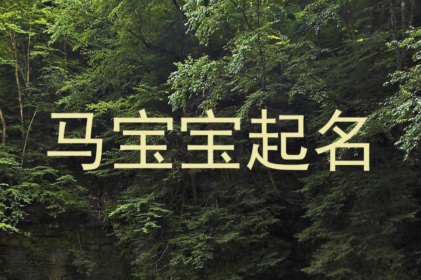 马年宝宝起名