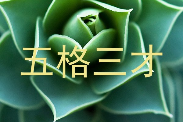 五格三才