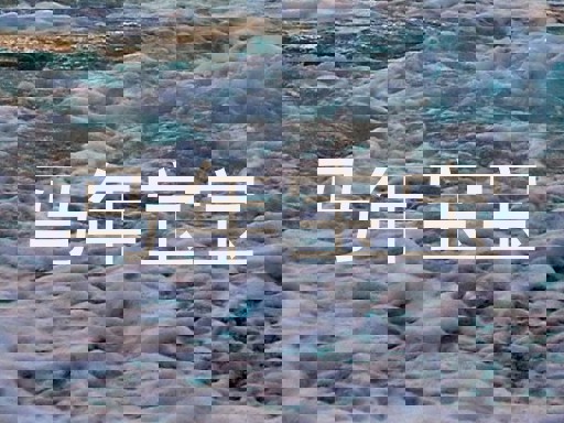 马年宝宝