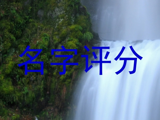 免费测名