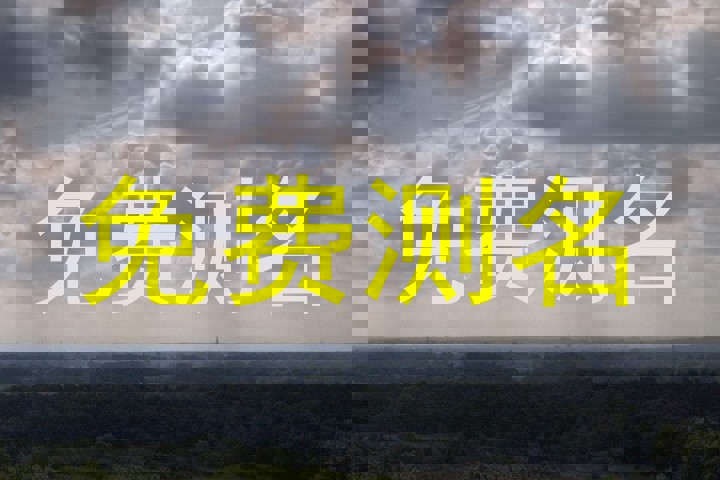 免费测名