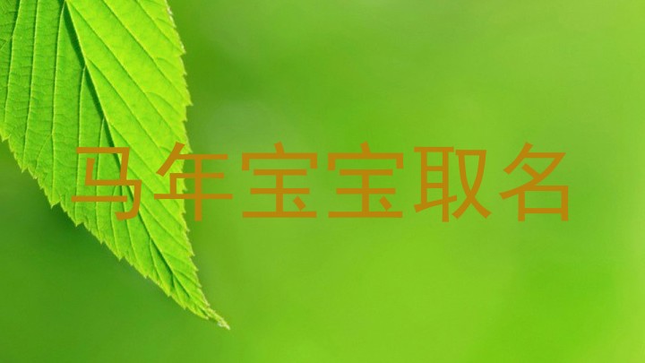 马年宝宝取名