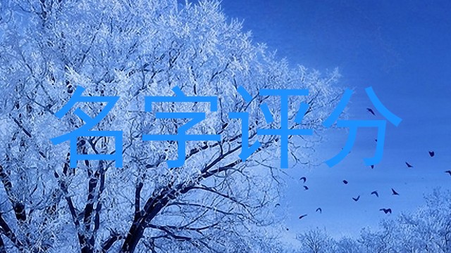 名字评分