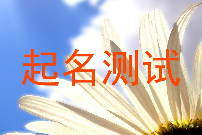 起名测试