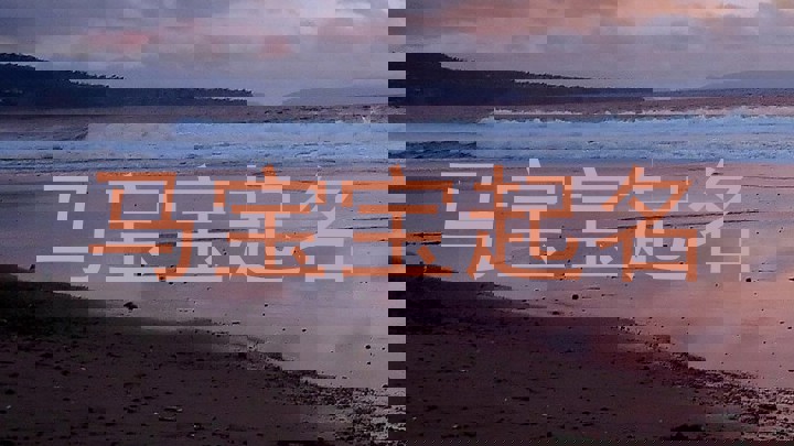 马宝宝起名