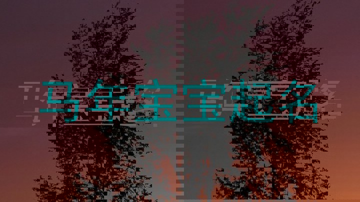马年宝宝起名