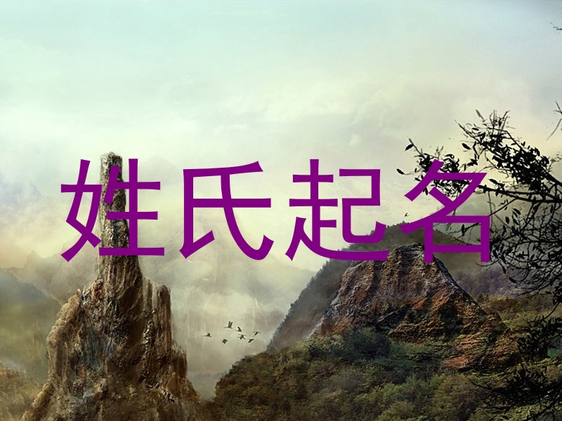 姓氏起名
