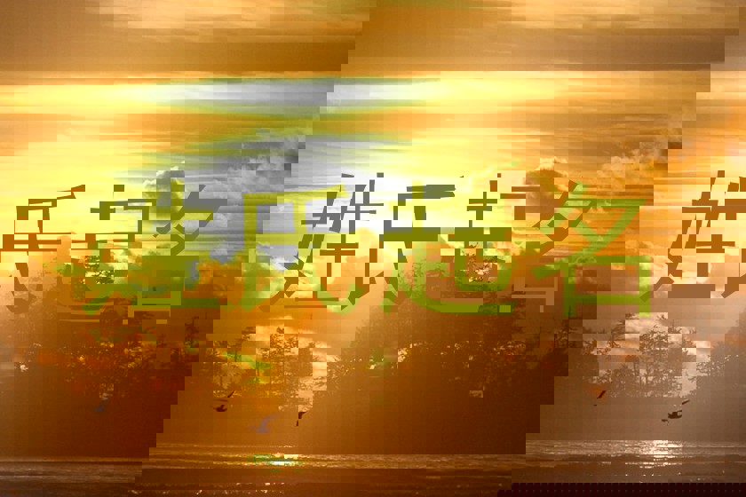 孙姓女孩名字大全
