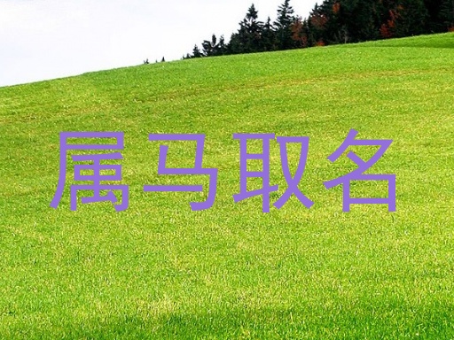 属马取名