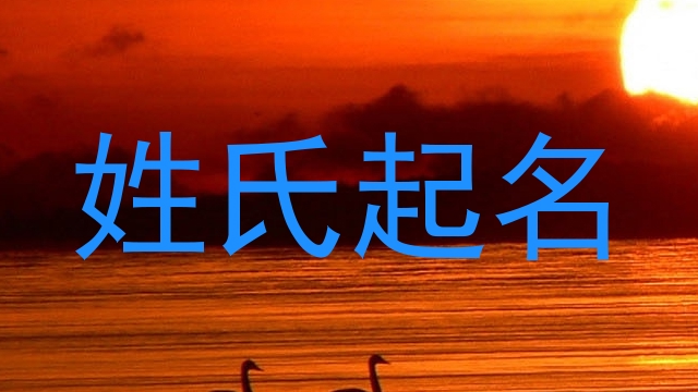 林姓女孩名字大全