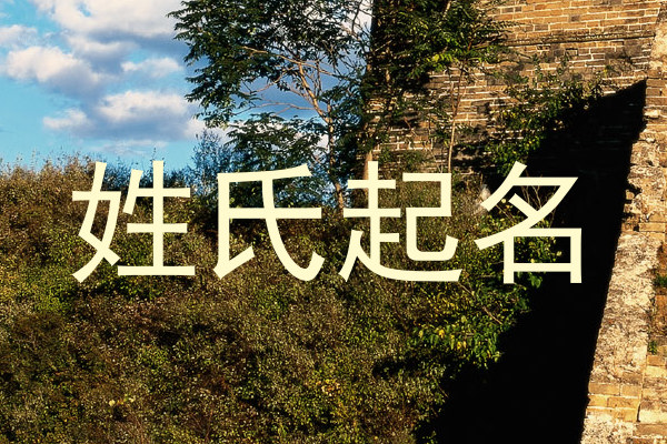 张姓男孩名字大全