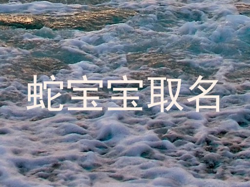 蛇宝宝取名