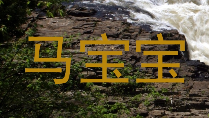 马宝宝