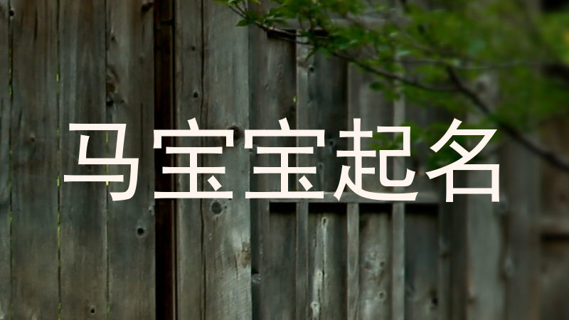 马宝宝取名