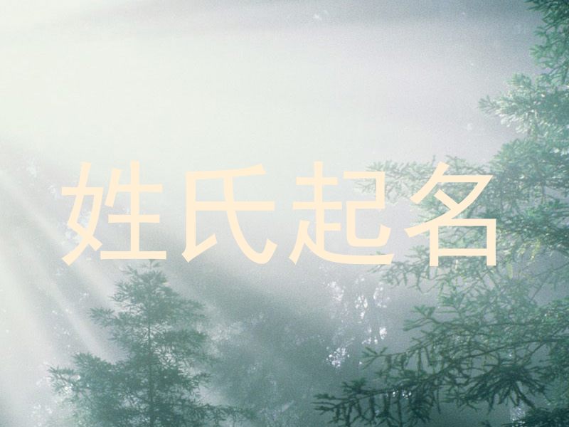 姓氏起名