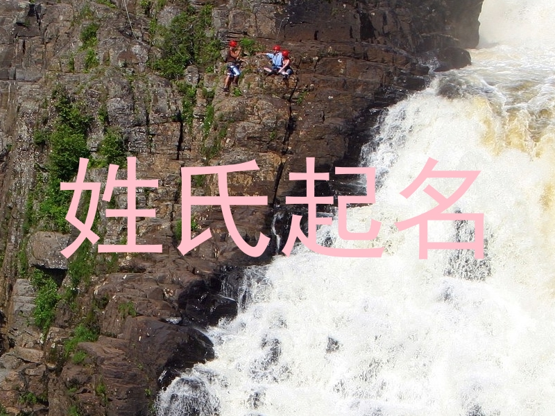 姓氏起名