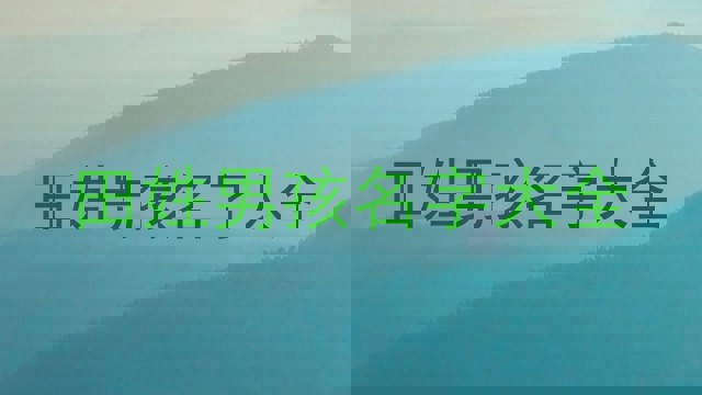 田姓男孩名字大全