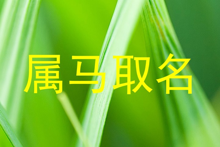 属马取名
