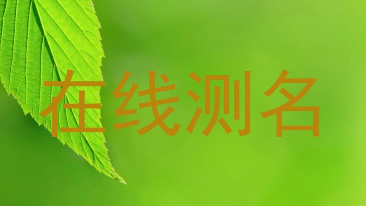 在线测名