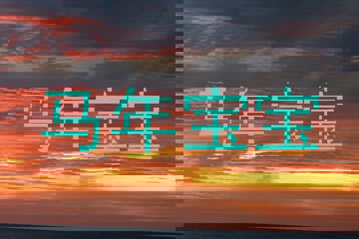 马年宝宝