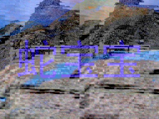 蛇宝宝