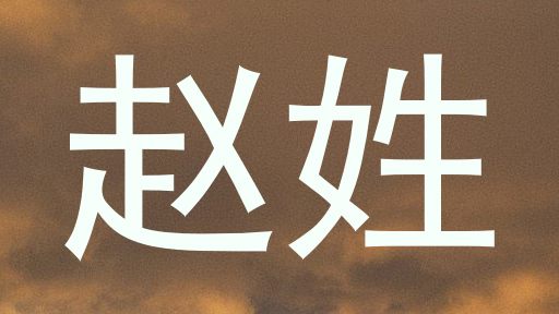 赵姓