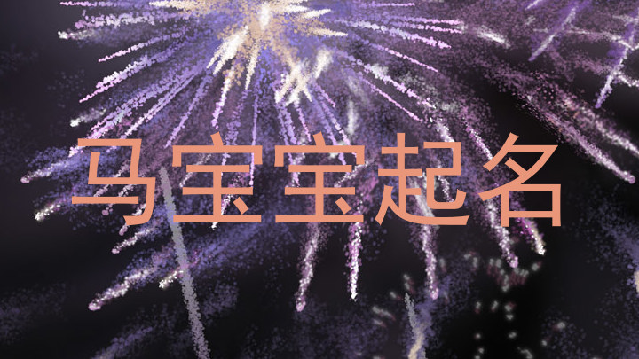 马宝宝起名