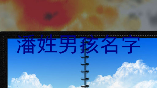 潘姓男孩名字