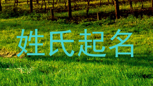 姓氏起名