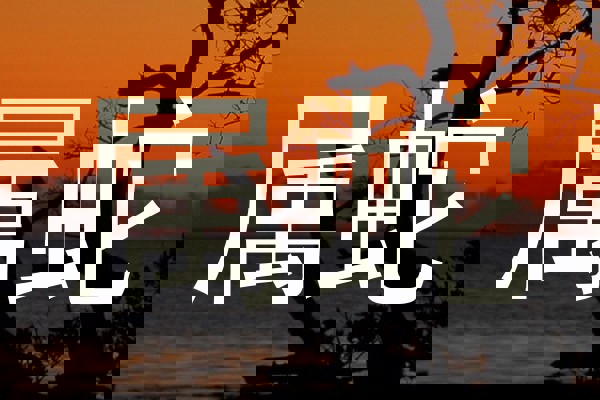 属蛇