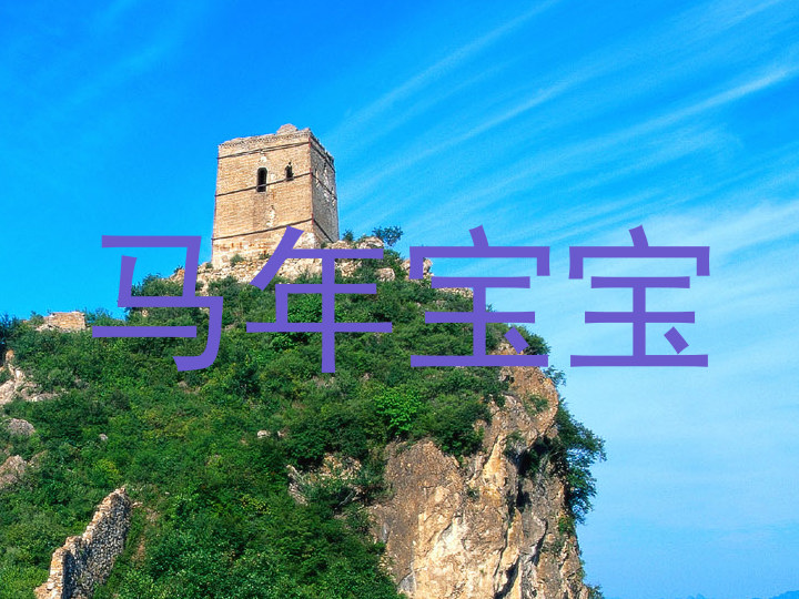马年宝宝