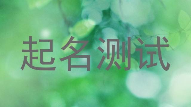 起名测试