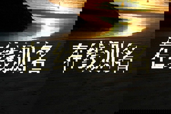 在线测名