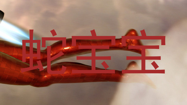 蛇宝宝