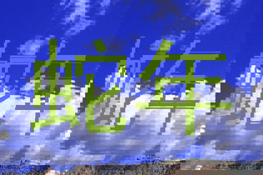 蛇年