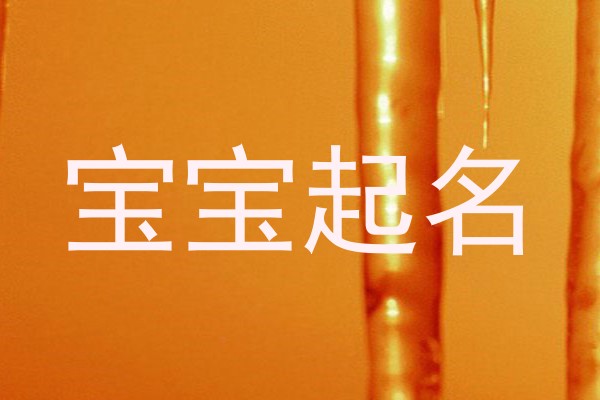 宝宝起名