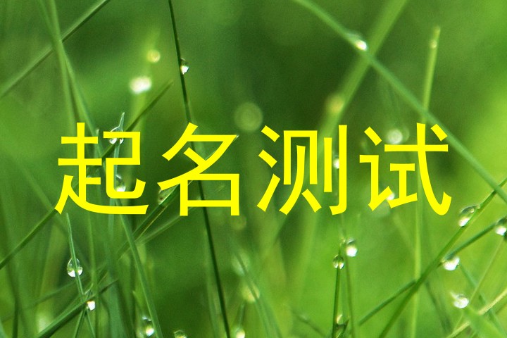 起名测试