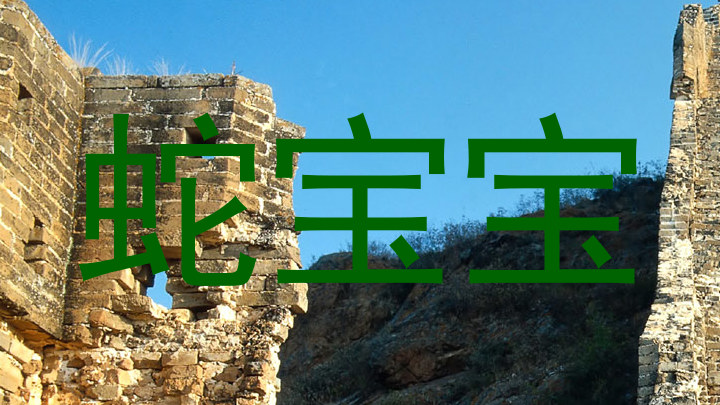 蛇宝宝