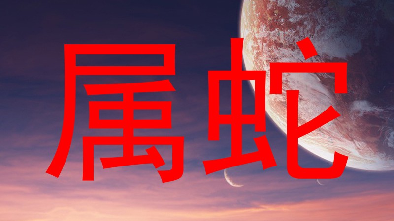属蛇