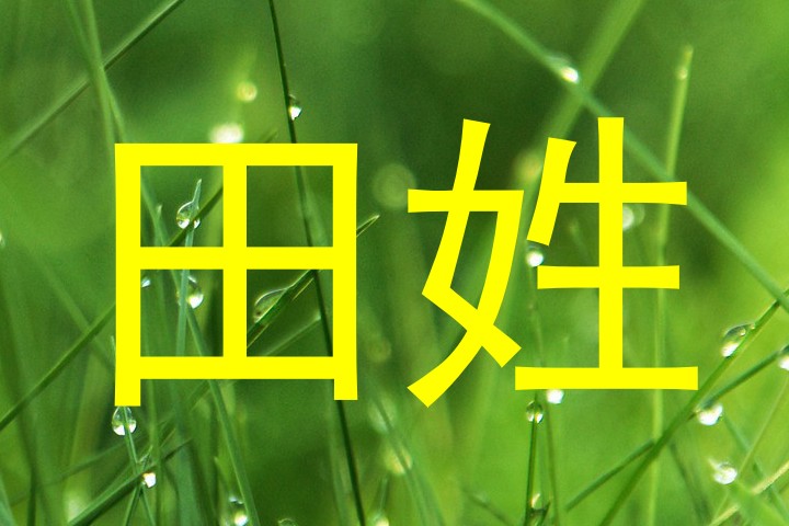 田姓