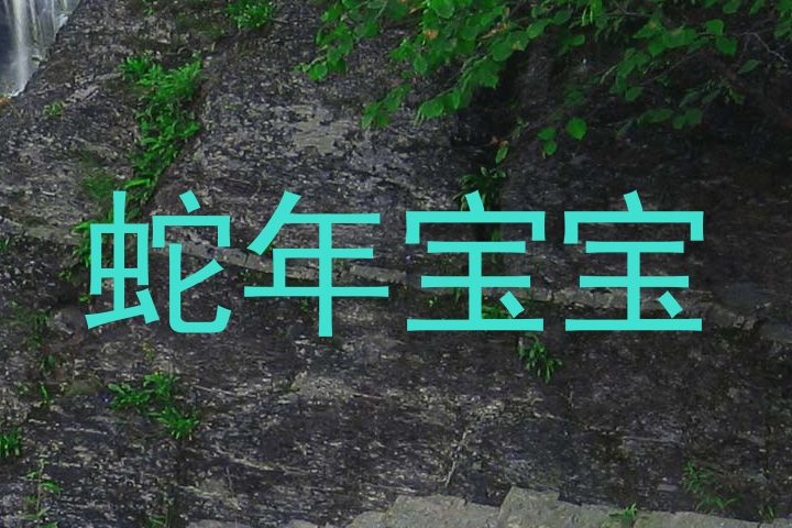 蛇年宝宝