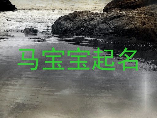 马年宝宝
