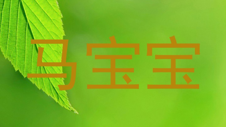 马宝宝