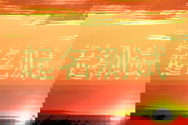 起名测试