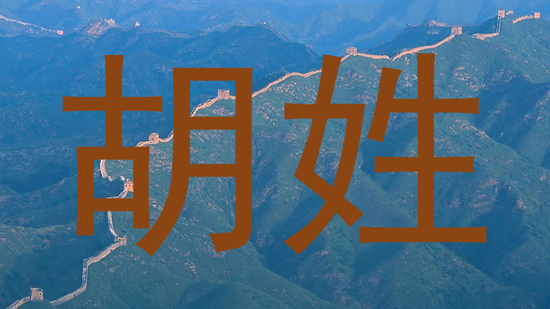 胡姓