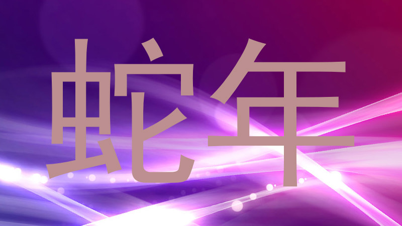 蛇年