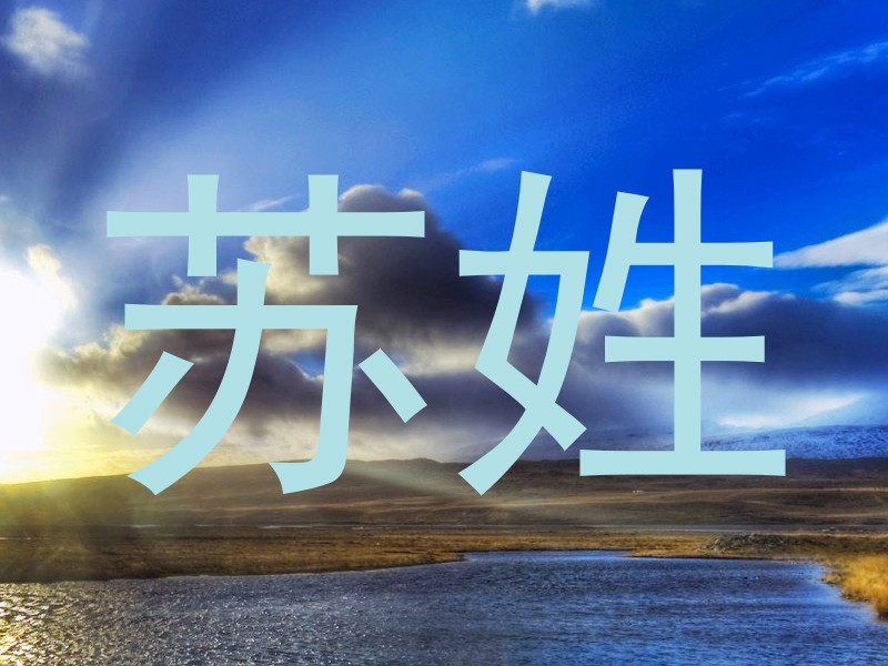 苏姓