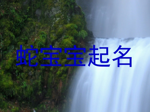 蛇宝宝起名