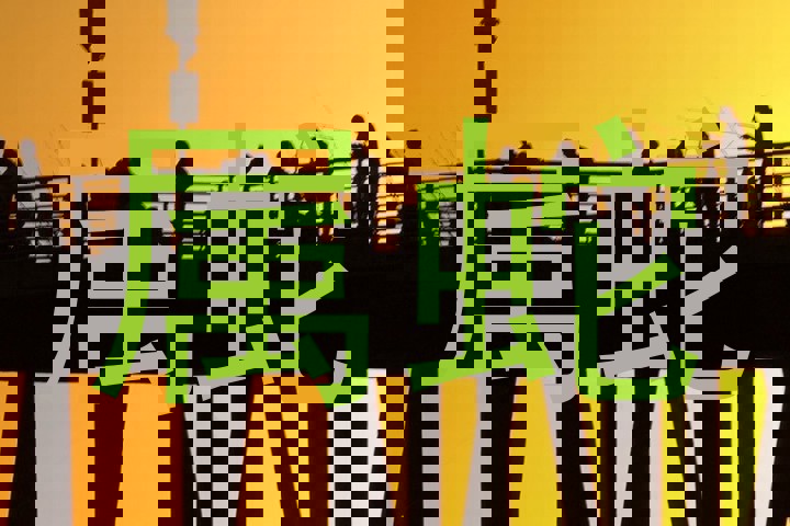 属蛇